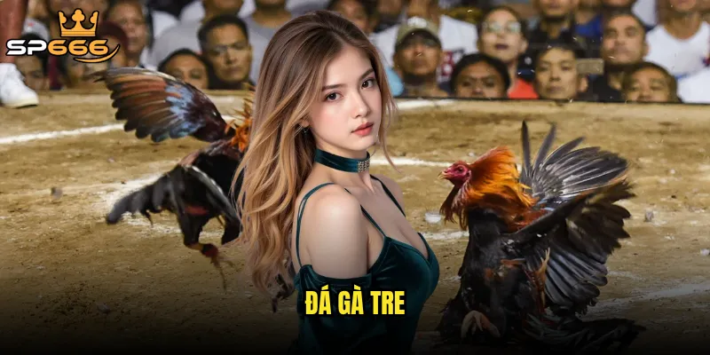 đá gà tre